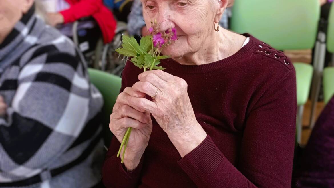 Užili jsme si poutavou přednášku o léčivých rostlinách